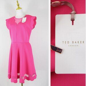 Ted Baker London Pink Sharlot Mesh Paneled Scallop Fit Flare Dress Size US 10